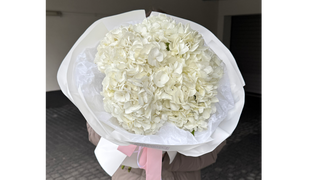 Bukiet 5 białych hortensji