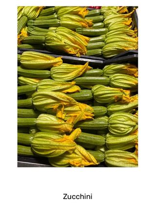 Zucchine chiare Italia 500 gr. ca.