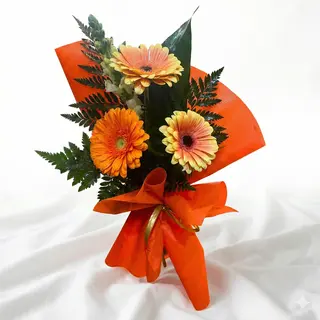 Trio Laranja Vibrante