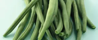 Fagiolini Bob