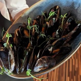 Platou de scoici in sos de vin alb