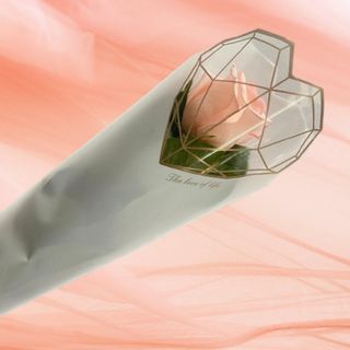 Trandafir roz in folie