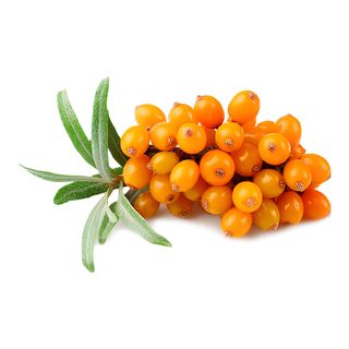 Чай обліпиховий (350мл)