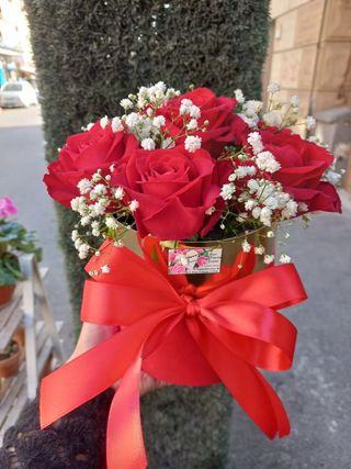 Rose's box Velvet misura S