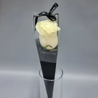 Trandafir alb elegance