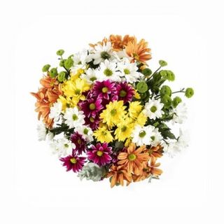 Ramo De Margaritas Colores Surtidos
