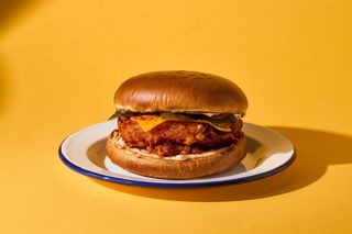 Chicken Sandwich Spicy