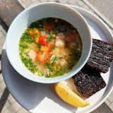 Лососева уха