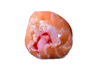 Rouleaux De Printemps Spécial