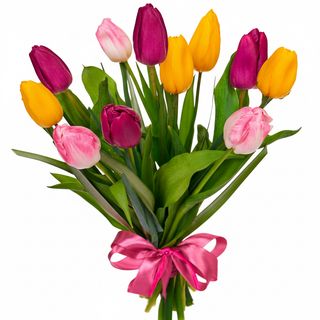 11 яскравих тюльпанів