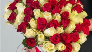 Розы (75 шт., 50 см.)