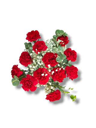 Ramo clavel rojo