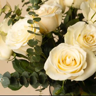 Tallo de rosa blanca