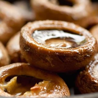 სოკო კეცზე    