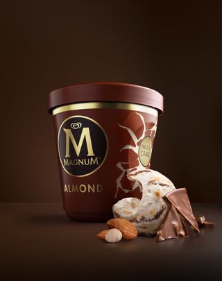 Tarrina Magnum Almendras  (440ml)