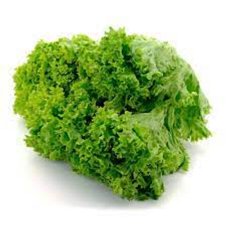 Lechuga Rizada Pieza