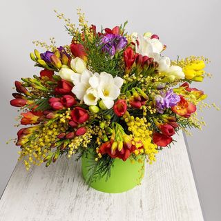 ყუთი ფრეზიით 2288