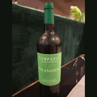 Falanghina MASTROBERARDINO