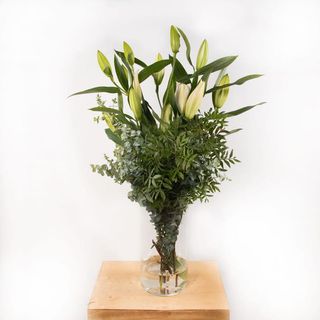 Atado Suelto De Lilium Y Verdes