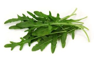 Rukola