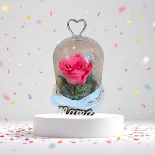 Cúpula mini de rosa