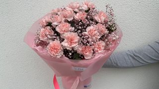 Bukiet Różowych Goździków i gipsówki - 15 szt.