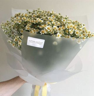 გვირილა