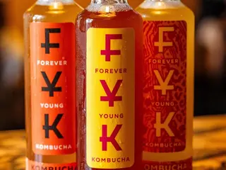 Kombucha 250ml