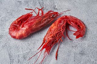 Carabinero Entero a la plancha