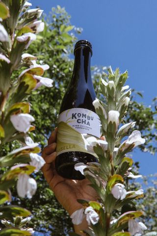 Kombucha Luisella 375ml