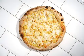 Pizza Chicken penne Alfredo