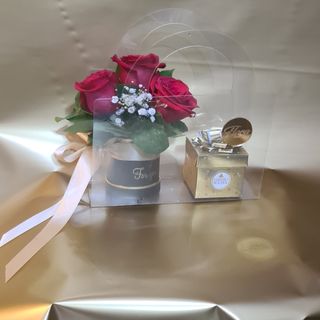 PROVIDNA  POKLON Torba