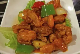 Pollo