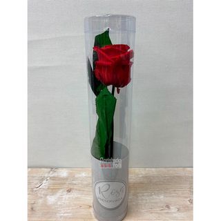 Rosa preservada Roja 35cm