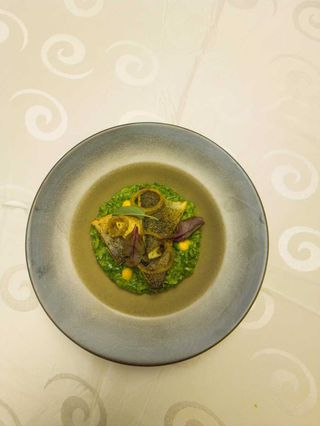 Risotto cu spanac si file de lup de mare