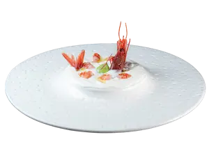 005. Tartare amaebi