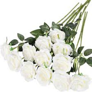 10 Rose bianche