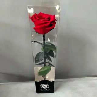 Rosa eterna roja 32 Cm.
