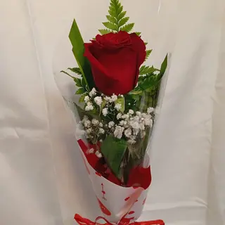Rosa roja arreglada