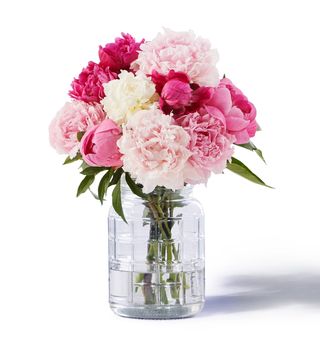 Bouquet 5 Peonie