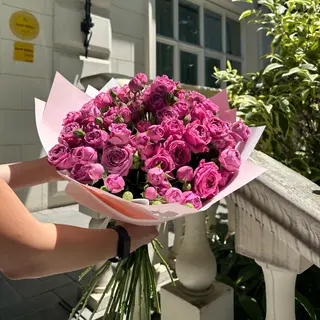 პიონისებრი სპრეი ვადები (დიდი)