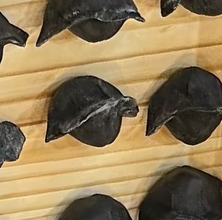 Ravioli di gamberi 6 pezzi