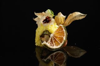 89 Yellow Ebi - 4 pezzi