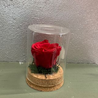 Rose stabilizzate tutti i colori 