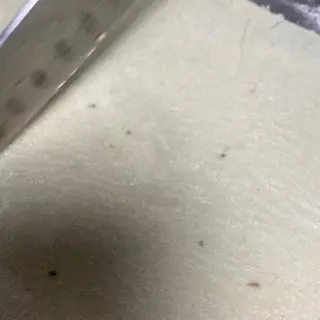 Tawa Roti