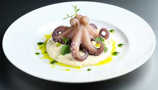 Tentacule de caracatita