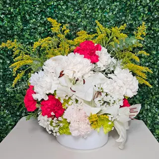 rosas primavera 