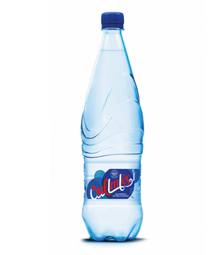 Ain Soltan Gazeuse 1L