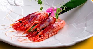 Sashimi di Gambero Rosso Adriatico