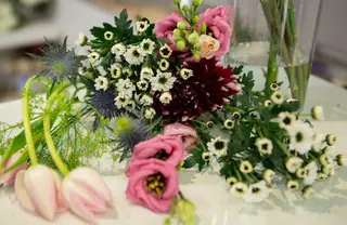 Escolha da Florista - Standard